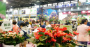Zehn Prozent mehr Aussteller auf der Hortiflorexpo IPM Shanghai