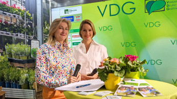 Größer, internationaler, grüner