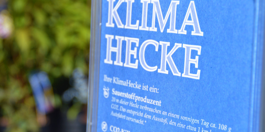 Sagaflor, Klimahecke