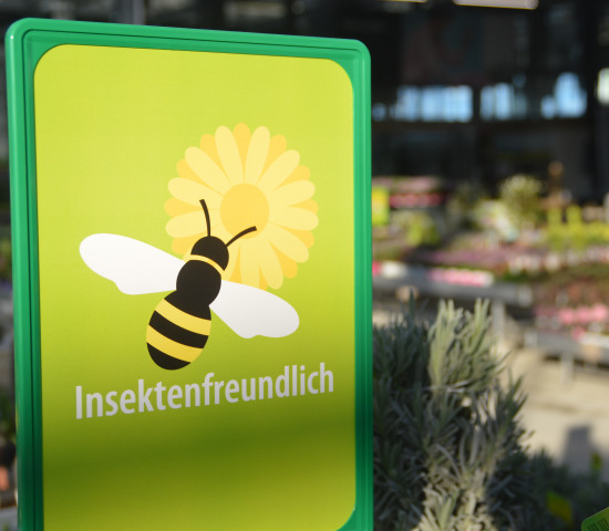 Insektenfreundlichkeit ist das große Thema bei den Gartenpflanzen.