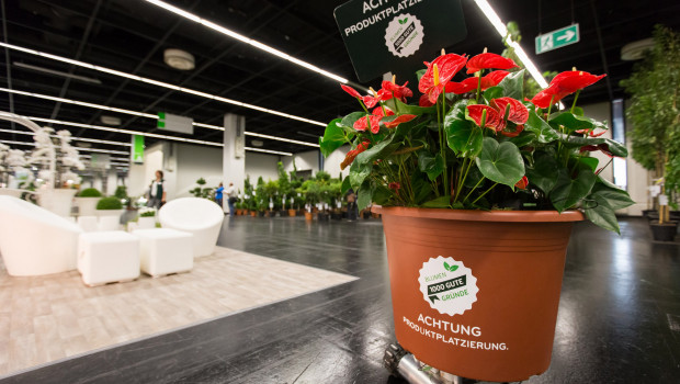 Die Initiative "Blumen - 1000 gute Gründe" war auch Thema auf den Landgard-Ordertagen im Rahmen der Spoga+Gafa, die heute zu Ende geht.