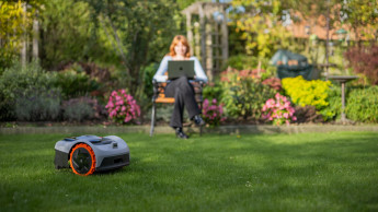 Chinesische Mähroboter auf dem Vormarsch