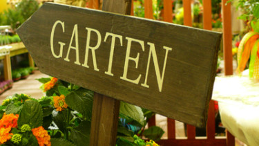 Nur noch leichtes Minus im Garten