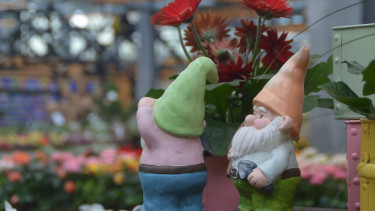 Leicht positivere Zahlen für Garten und Heimtier im August