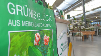 Wurzeln und Flügel Wurzeln und Flügel