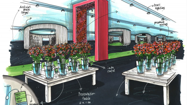 In solchen Showblocks sollen Blumen und Pflanzen auf der neuen Floradecora präsentiert werden.