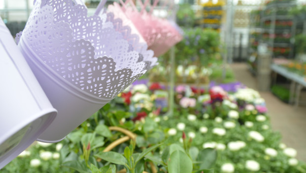Die Wiesbadener haben die Umsätze im Gartenhandel unter die Lupe genommen.&nbsp;