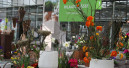 Der nächste 1A Garten