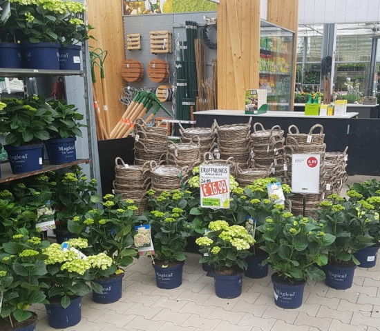 Eindrücke aus den Verkaufsräumen.