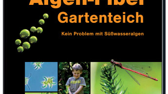 Algenfreier Gartenteich Algenfreier Gartenteich