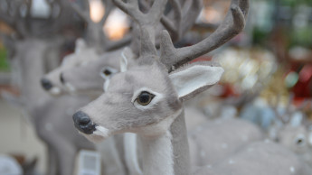 Weihnachtsgeschäft bleibt durchwachsen