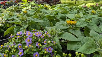Weniger verkauft, mehr umgesetzt