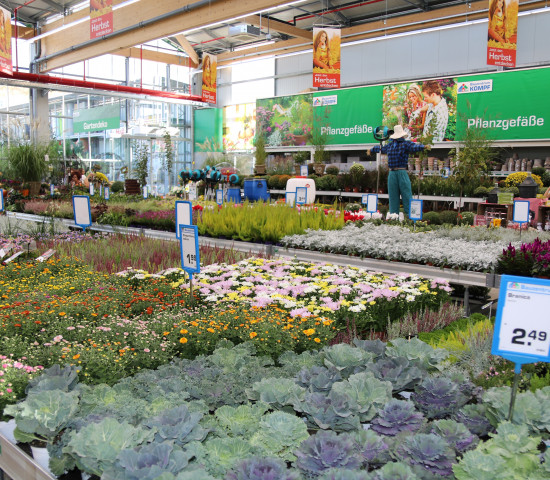 Aufgeräumt hat das Team Garten auch im Düngerregal, um die Eigenmarke zu stärken und Produktgruppen zusammenzuführen. Mit den Lieferanten Ziegler, Compo und Neudorff werden Vorgaben für eine abgestimmte Markenwelt und eine optimale Flächennutzung erarbeitet.