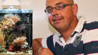 Dennerle schließt Vertriebsumstrukturierung ab