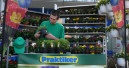 Praktiker pflegt Pflanzen