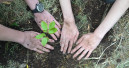 Energizer und „Plant-for-the-Planet“ kooperieren