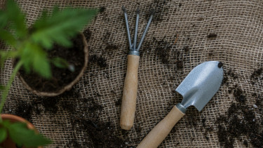 Mieter investieren weniger in Gartenartikel