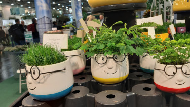 IPM-Besucherzahlen auf Vorjahresniveau