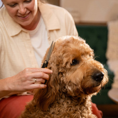 Die Pet-Care-Linie umfasst Nagelscheren, Scheren für die Fellpflege, Entfilzungs- und Entwirrungskämme, eine Nagefeile sowie eine Aufbewahrungsbox.