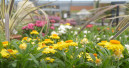 Garten und Heimtier bleiben im Juni im Minus
