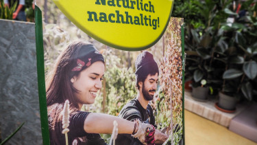 Preis-Leistungs-Verhältnis und Nachhaltigkeit ausschlaggebend für Kaufentscheidungen