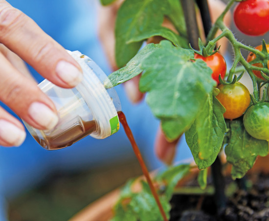 Keine Zeit? Kein Problem – die „Ready to use“-Dünger werden nicht mit Gießwasser verdünnt, sondern sind sofort einsatzbereit.