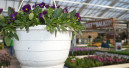 Gartenhandel erzielt im Februar zweistelliges Umsatzplus