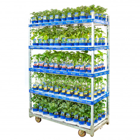 Bruno Nebelung/Kiepenkerl, CC-Container