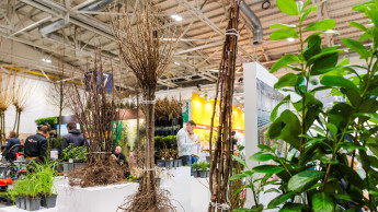 IPM: „Gehölze-Arena“ zeigt klimaresiliente Lösungen