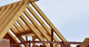 Holzhandel 2019 knapp ein Prozent im Plus