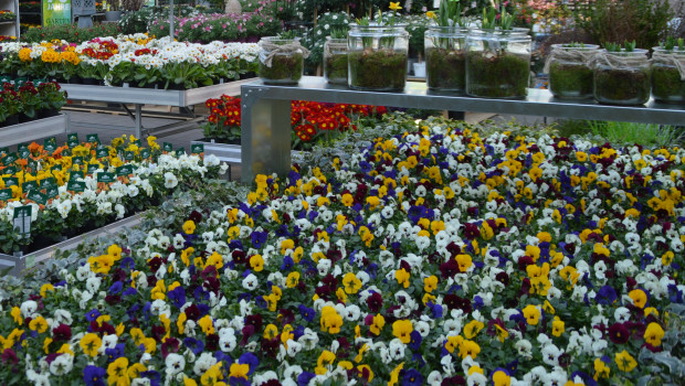 Für die Gartencenter war der April 2021 ein schwieriger Monat. Für die Gartencenter war der April 2021 ein schwieriger Monat.