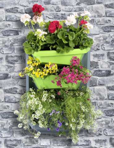 Vertical Garden von Wüster