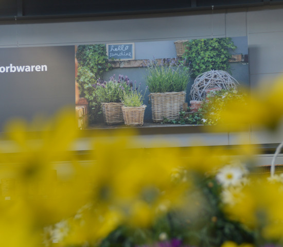 In Göppingen arbeitet Dehner mit einer neuen Bildsprache.