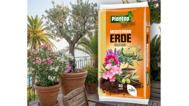 Ziegler, Plantop torffrei Mederranerde