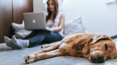 Onlineboom im Einzelhandel auch nach Corona?