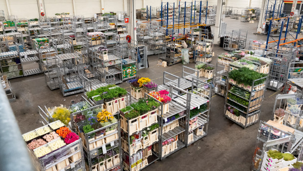 Beim Pflanzenvermarkter Royal Flora Holland ordnet sich die Führungsmannschaft wieder neu.