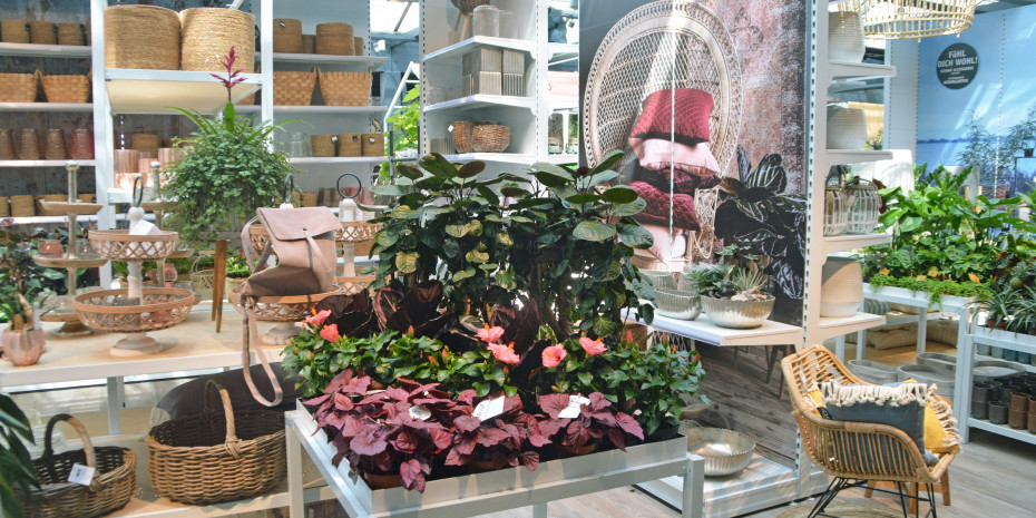 Oldenburger Wohngarten, Pflanzen, Wohnsortimente