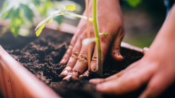 Horticert-Zertifizierung für Erdenwerk Gebrüder Mayer