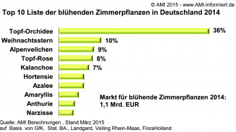 Die Top Ten der Blumen und Zierpflanzen Die Top Ten der Blumen und Zierpflanzen