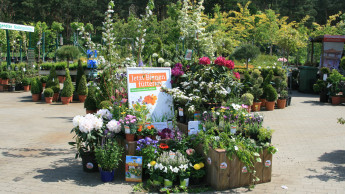 Gartencenter diskutieren mit Minister Schmidt