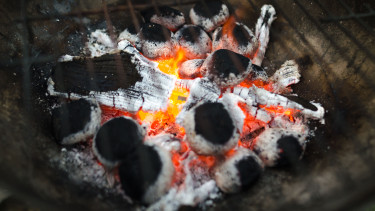 Immer weniger Holzkohlegrills