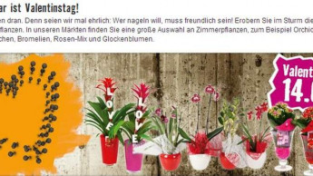 Valentinstag-Werbung erregte konservative Gemüter