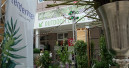 Tendence und Gardiente kooperieren