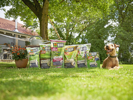 Für die Bio-Rasenpflege hält Compo ein ganzheitliches System bereit – 2024 wird das Sortiment um den Rasendünger Unkraut & Moos Stopp erweitert. Für die Bio-Rasenpflege hält Compo ein ganzheitliches System bereit – 2024 wird das Sortiment um den Rasendünger Unkraut & Moos Stopp erweitert.