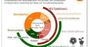 Discounter und Convenience im Trend