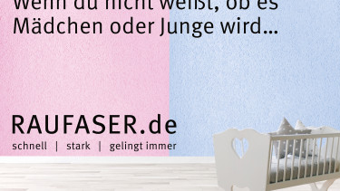 Raufaser-Offensive 2017 