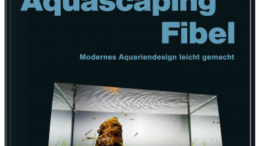 Kunstwerke unter Wasser