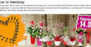 Valentinstag-Werbung erregte konservative Gemüter
