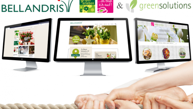 Die Kooperation mit Green Solutions soll die grünen Sagaflor-Mitglieder in Sachen Online einen großen Schritt voranbringen. Die Kooperation mit Green Solutions soll die grünen Sagaflor-Mitglieder in Sachen Online einen großen Schritt voranbringen.