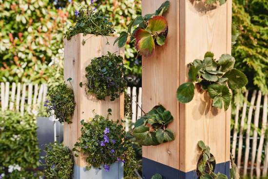 Vertikales Gärtnern ermöglicht Grün auch&nbsp;auf engem Raum.